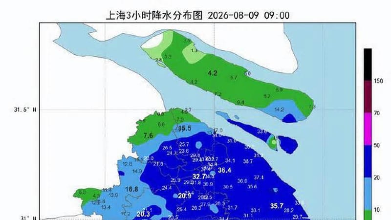台风白海豚云系庞大，上海发布四预警启动隧道过江预案