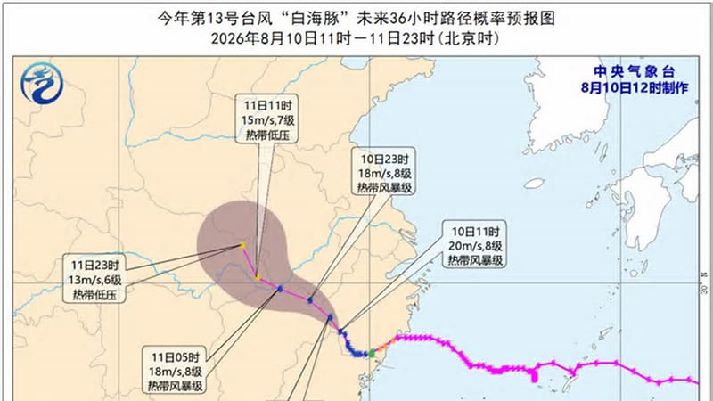 上海金山升级防台响应至一级并发布六停通知
