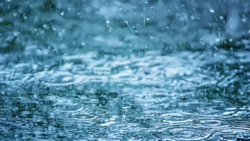台风白海豚移入江西 浙江防台应急响应降至二级