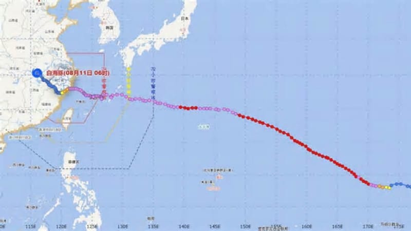浙江发布台风白海豚评估报告台州降雨破纪录