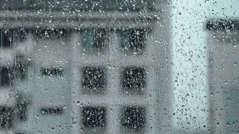 寧波評估報告：颱風白海豚打破歷史降雨紀錄