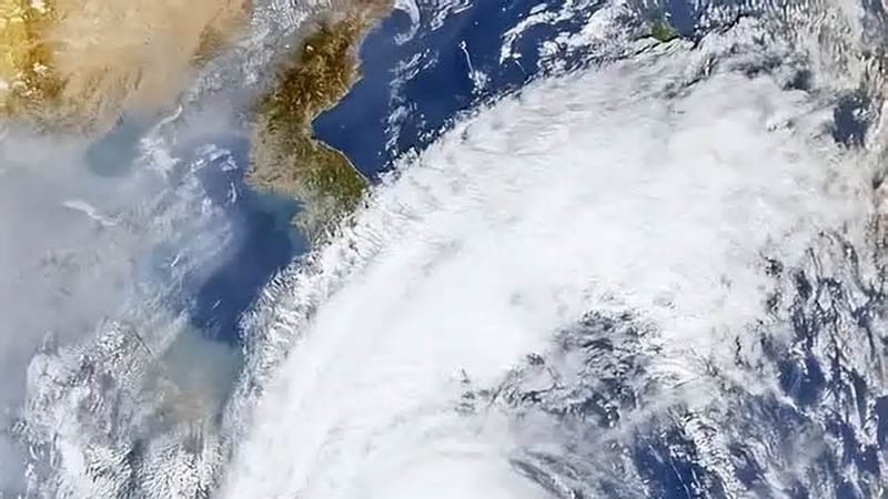 Why Typhoon Near the Equator Will Automatically Disappear