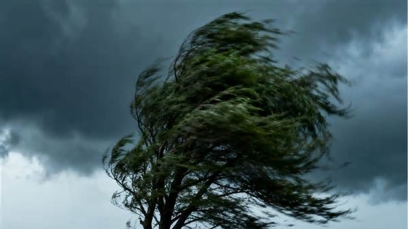 The Bureau of Meteorology predicts that there will be two to three typhoons affecting China.