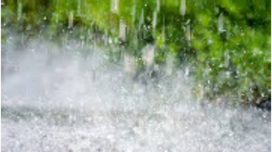 Shanghai Braces for Heaviest Rainfall Tonight as Typhoon CHAMPI Approaches