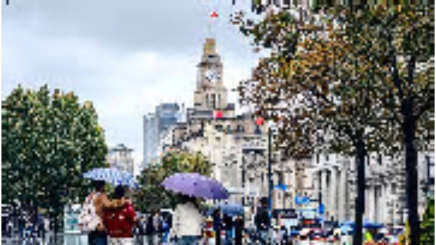 Typhoon “CHAMPI” weakens to a severe tropical storm; Shanghai continues to face strong winds and rain