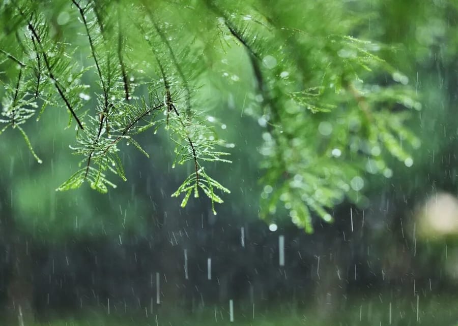 Typhoon “CHAMPI” gradually moves away from Ningbo, with strong winds beginning to ease